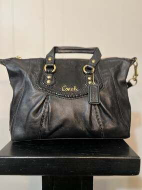 Coach Ashley Leather Satchel with Python Embossed Detail F19247